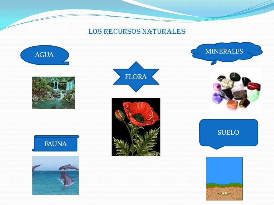 A topnotch WordPress.com site Los recursos naturales de Paraguay principales son la biodiversidad, agricultura y ganadería, minería, recursos hídricos y la pesca. Paraguay se encuentra localizado en la parte central de Sudamérica, concretamente al norte de Argentina, al sureste de Bolivia y al suroeste de Brasil.